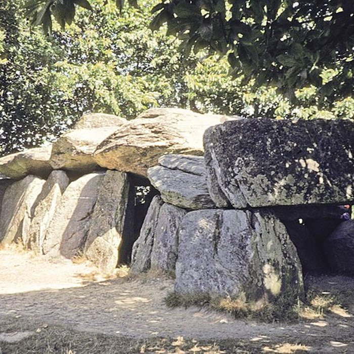 Photo de La Roche-aux-Fées dEssé