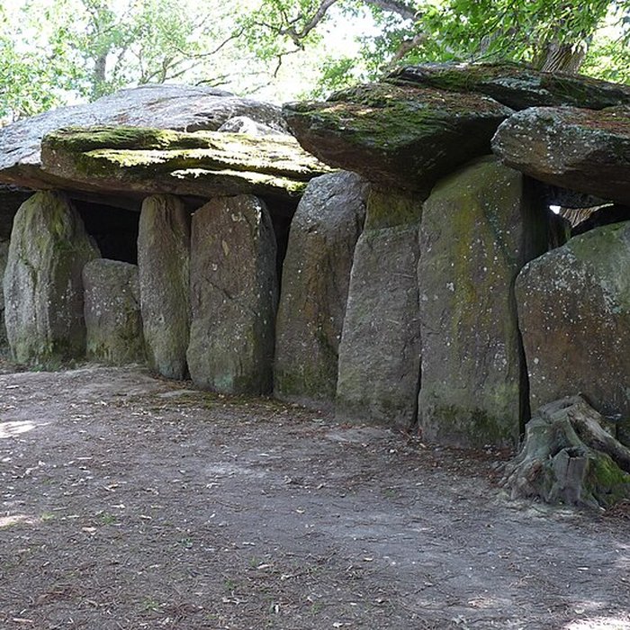 Photo de La Roche-aux-Fées dEssé