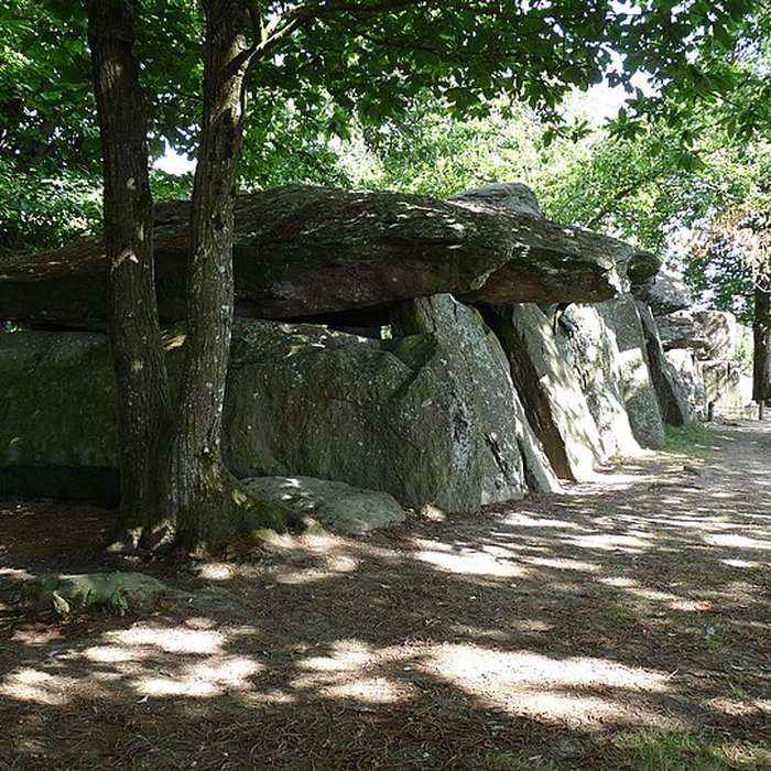 Photo de La Roche-aux-Fées dEssé