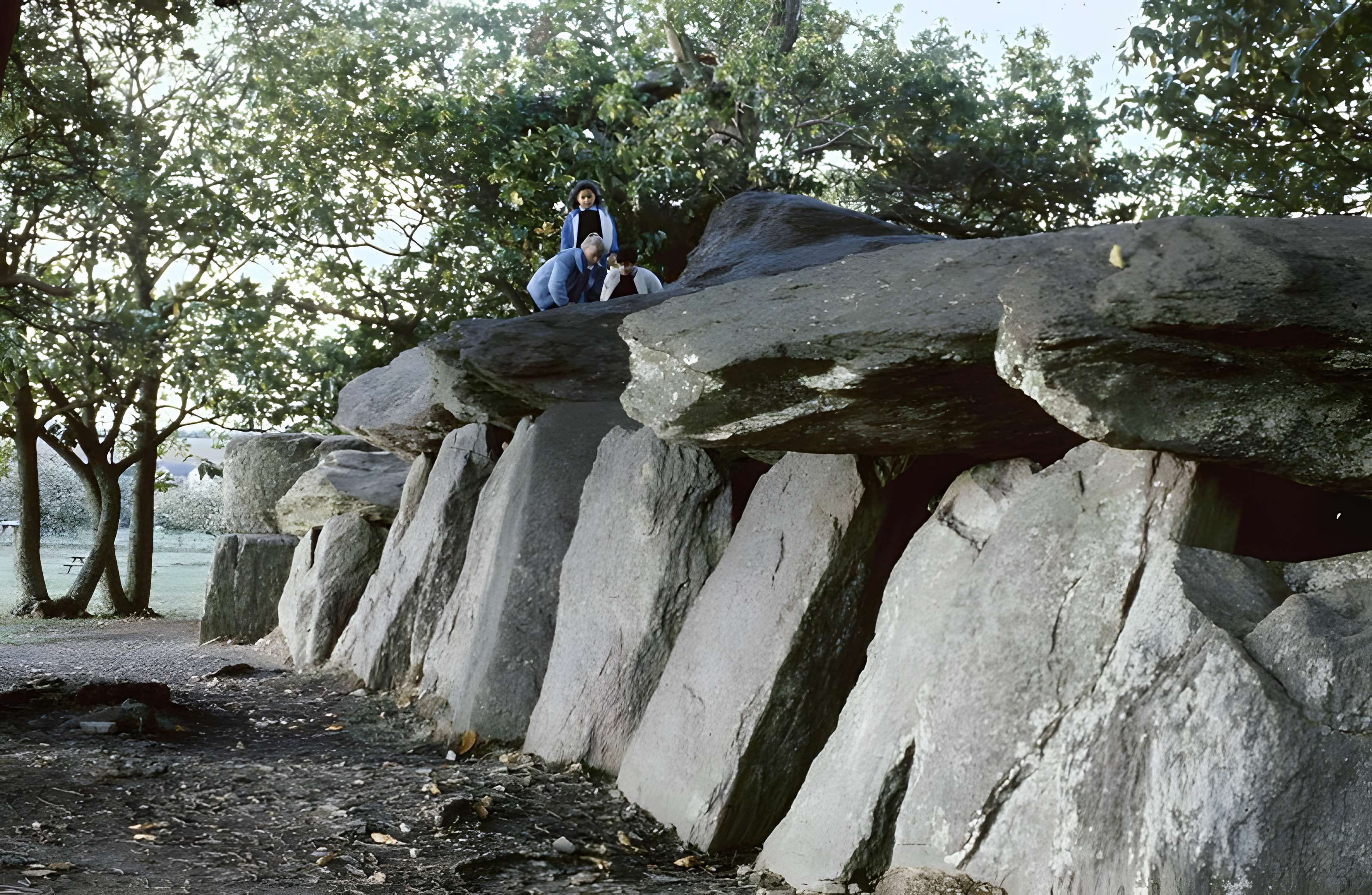 La Roche-aux-Fées d'Essé
