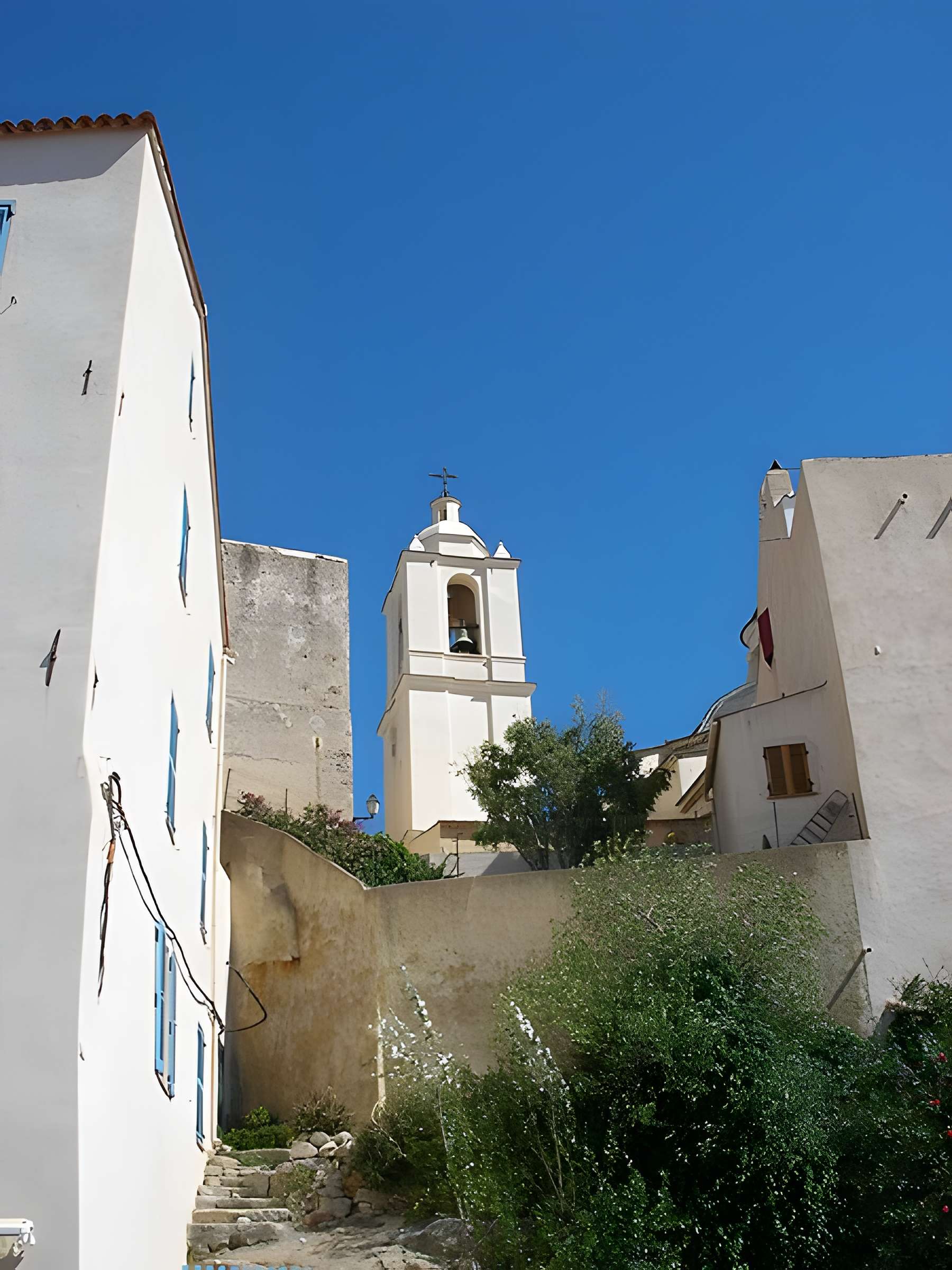 Pro-cathédrale Saint-Jean-Baptiste de Calvi