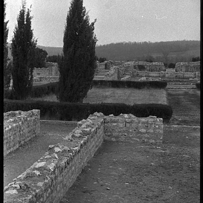 Photo de Villa Gallo-Romaine de Montmaurin