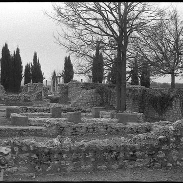 Villa Gallo-Romaine de Montmaurin