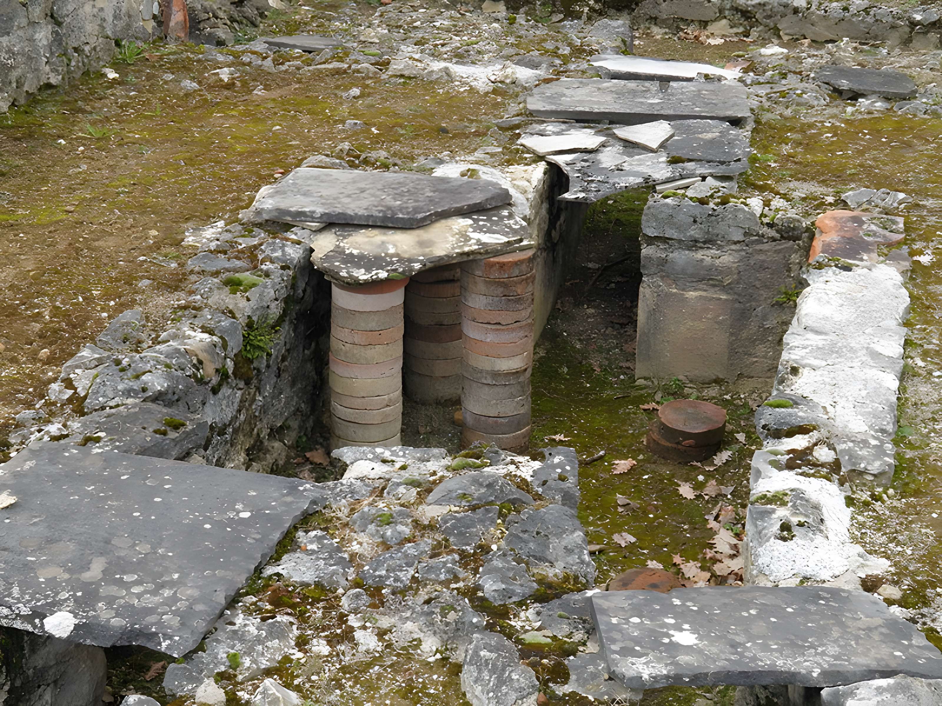 Villa Gallo-Romaine de Montmaurin