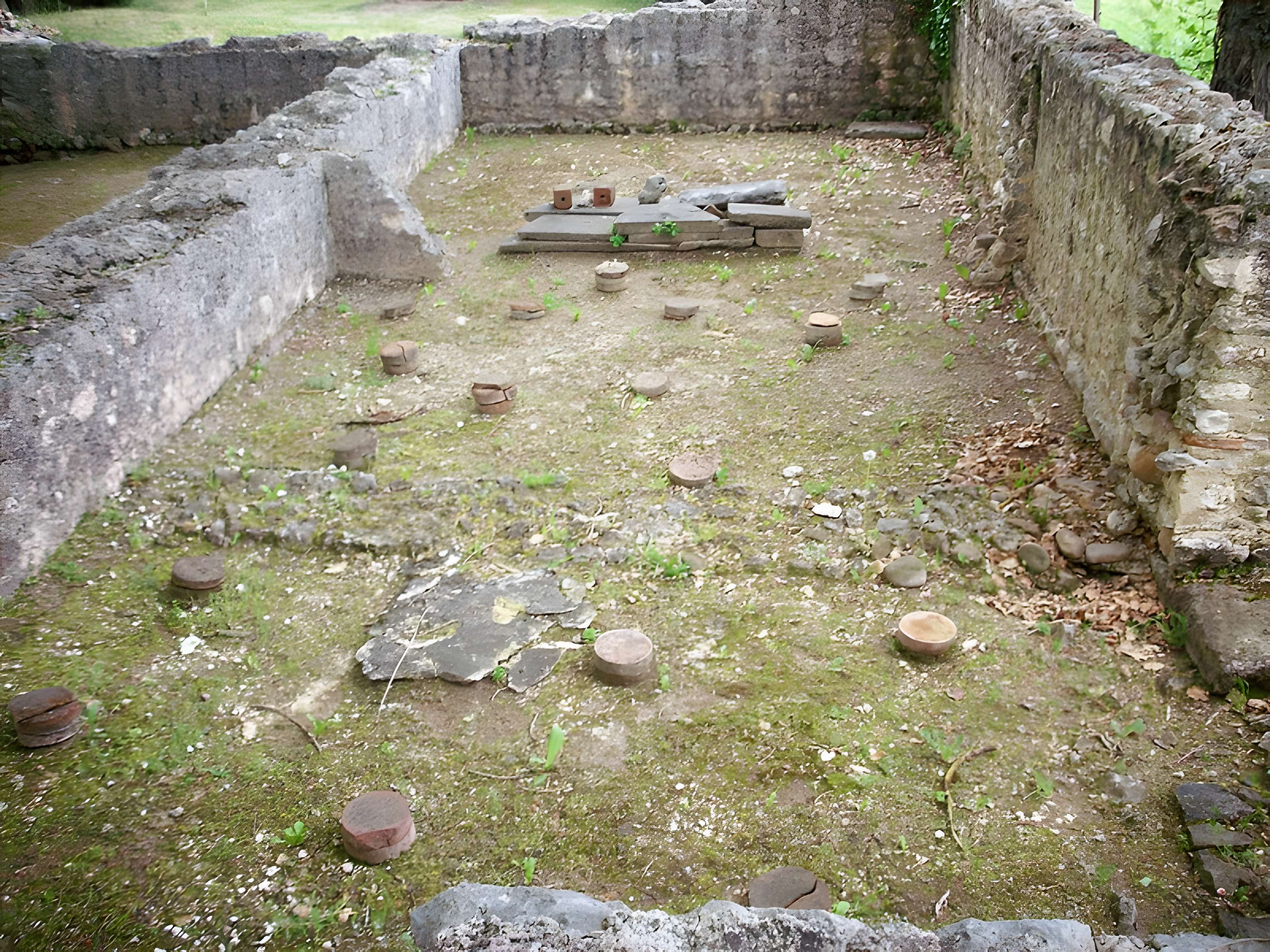 Villa Gallo-Romaine de Montmaurin
