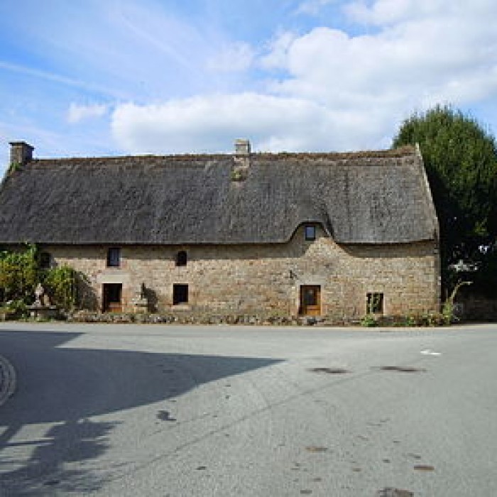 Photo de Puits et niche du Lion de Lanvaudan