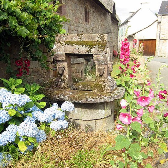 Photo de Puits et niche du Lion de Lanvaudan
