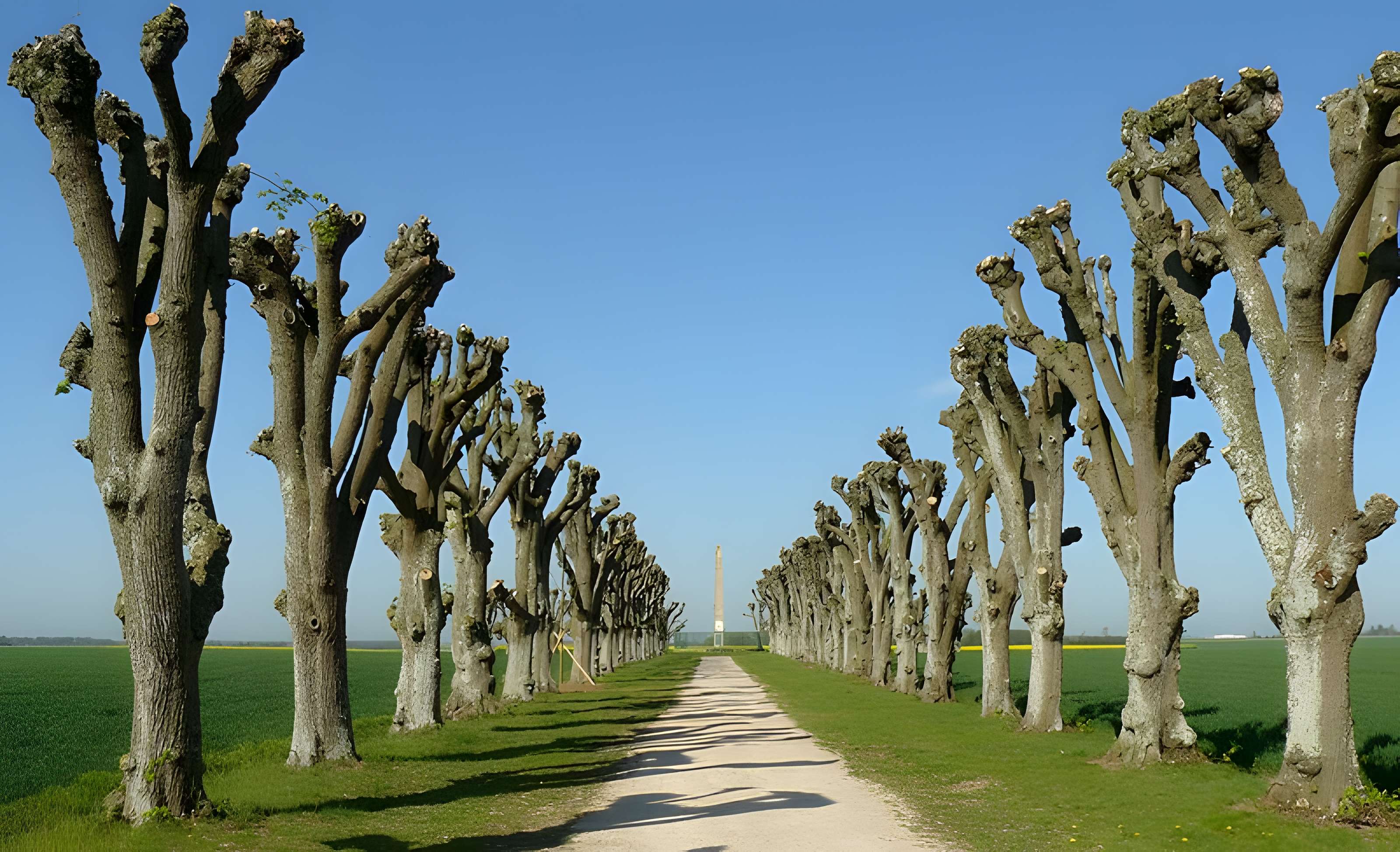 Pyramide commémorative de la bataille d'Ivry à Épieds
