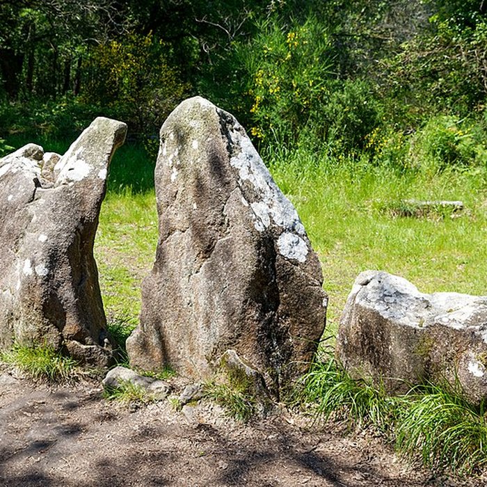 Photo de Quadrilatère du Manio à Carnac