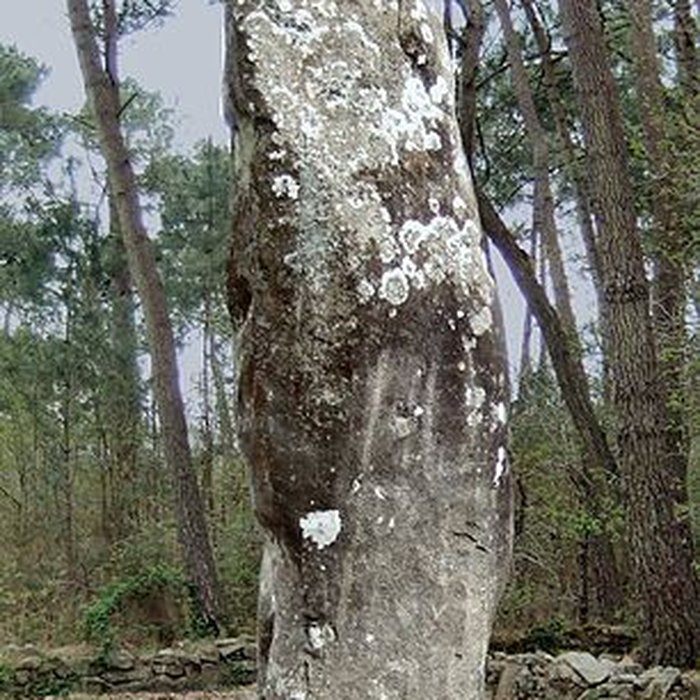 Photo de Quadrilatère du Manio à Carnac