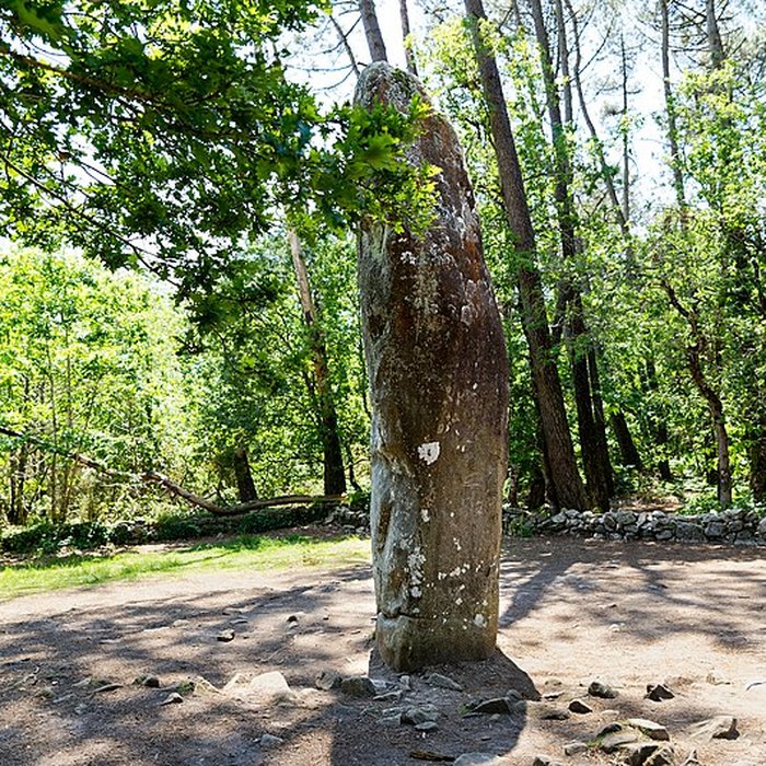 Photo de Quadrilatère du Manio à Carnac