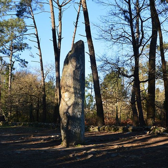 Photo de Quadrilatère du Manio à Carnac