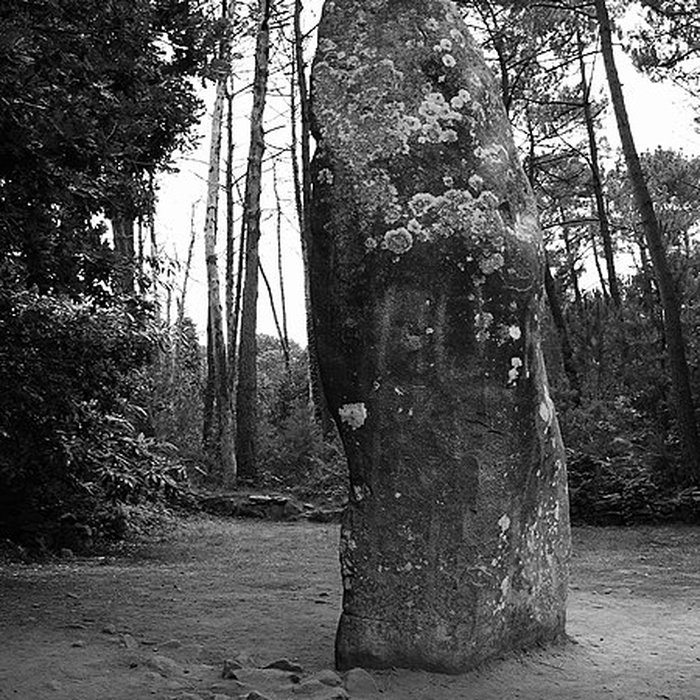 Photo de Quadrilatère du Manio à Carnac
