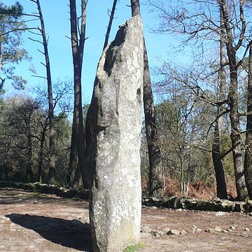 Quadrilatère du Manio à Carnac