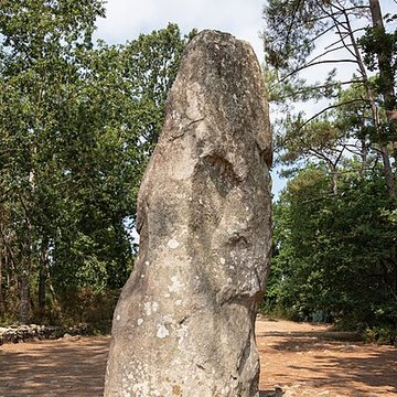 Quadrilatère du Manio à Carnac