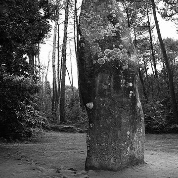 Quadrilatère du Manio à Carnac