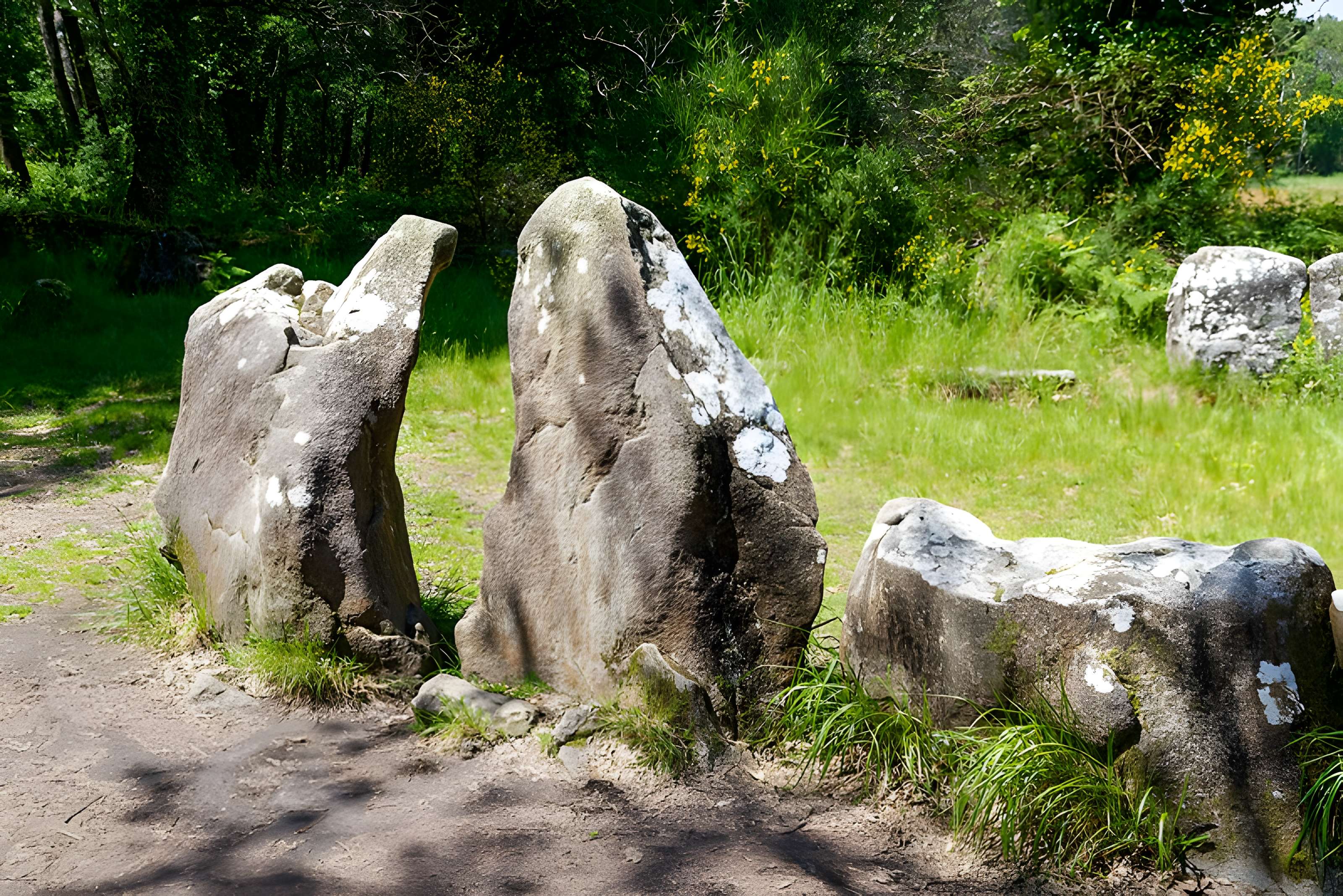Quadrilatère du Manio à Carnac