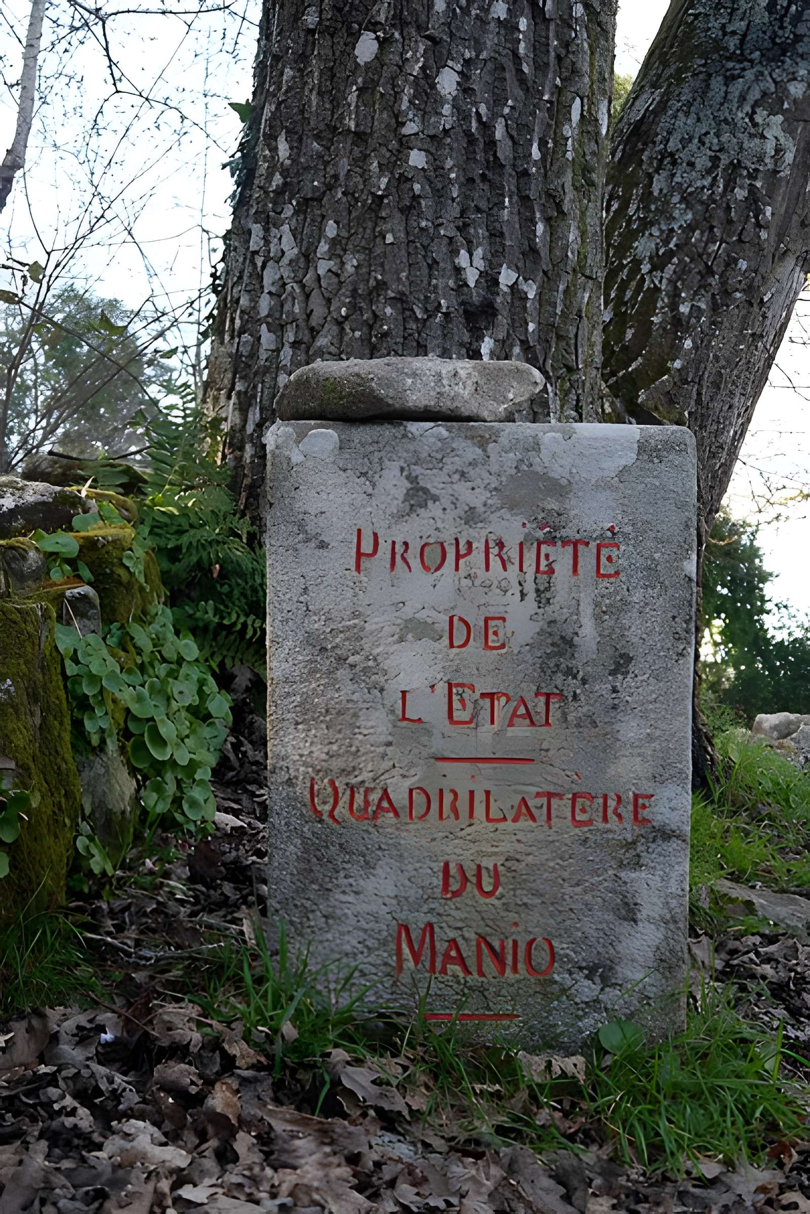 Quadrilatère du Manio à Carnac