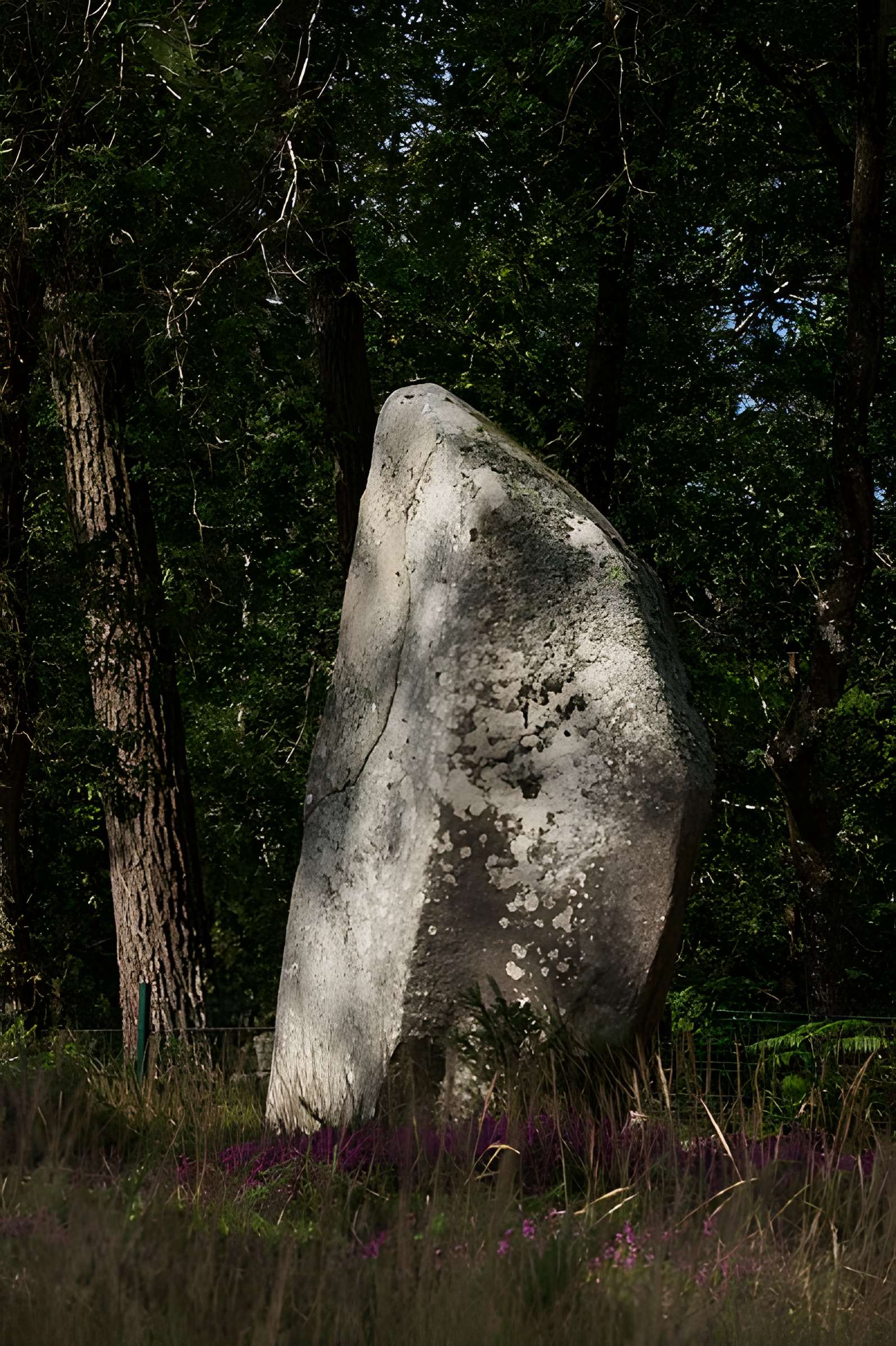 Quadrilatère du Manio à Carnac