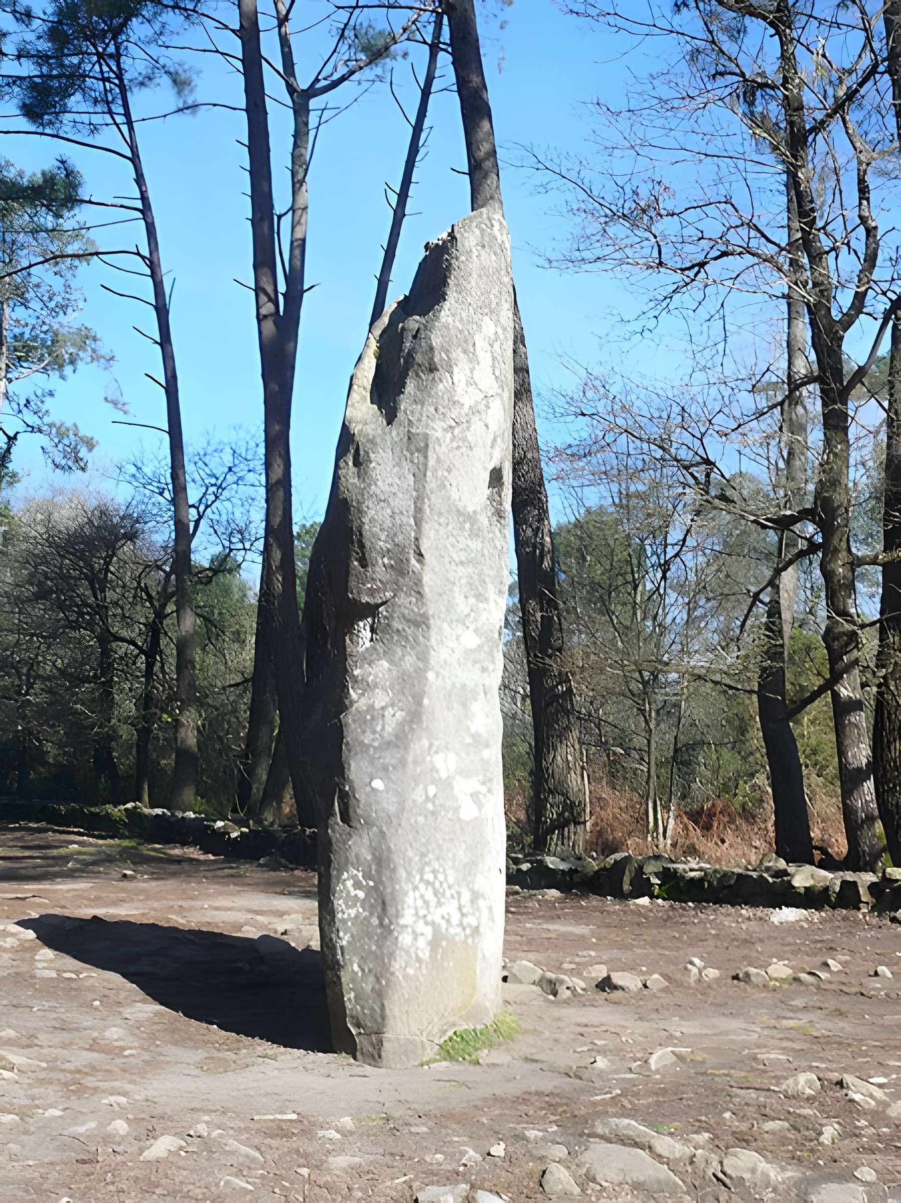 Quadrilatère du Manio à Carnac
