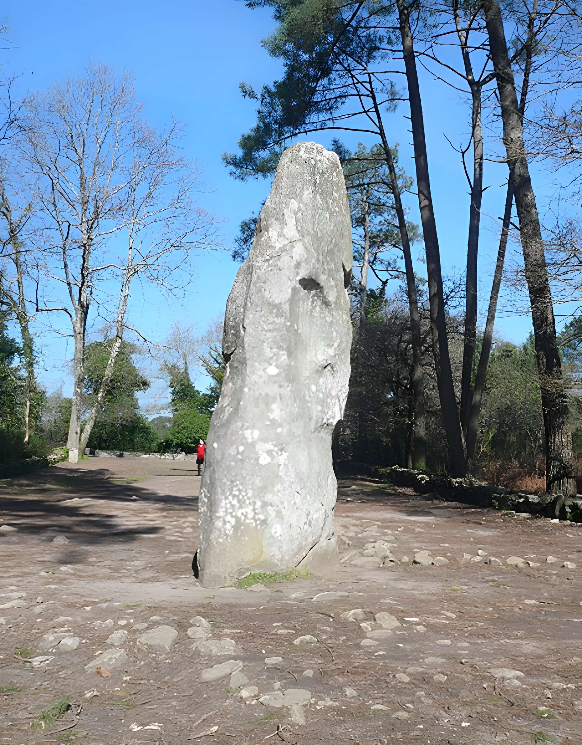 Quadrilatère du Manio à Carnac