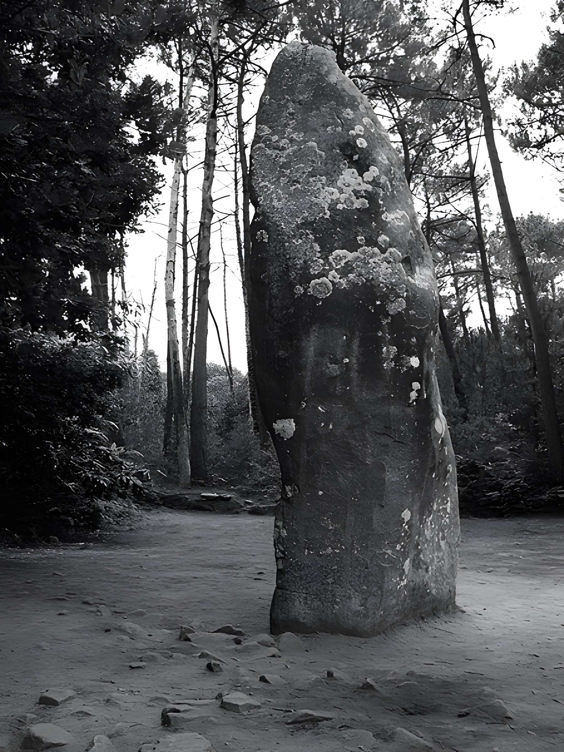 Quadrilatère du Manio à Carnac