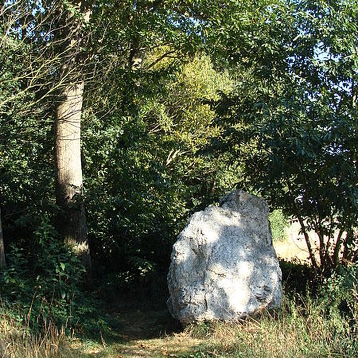 Photo de Quatre alignements mégalithiques de Médréac
