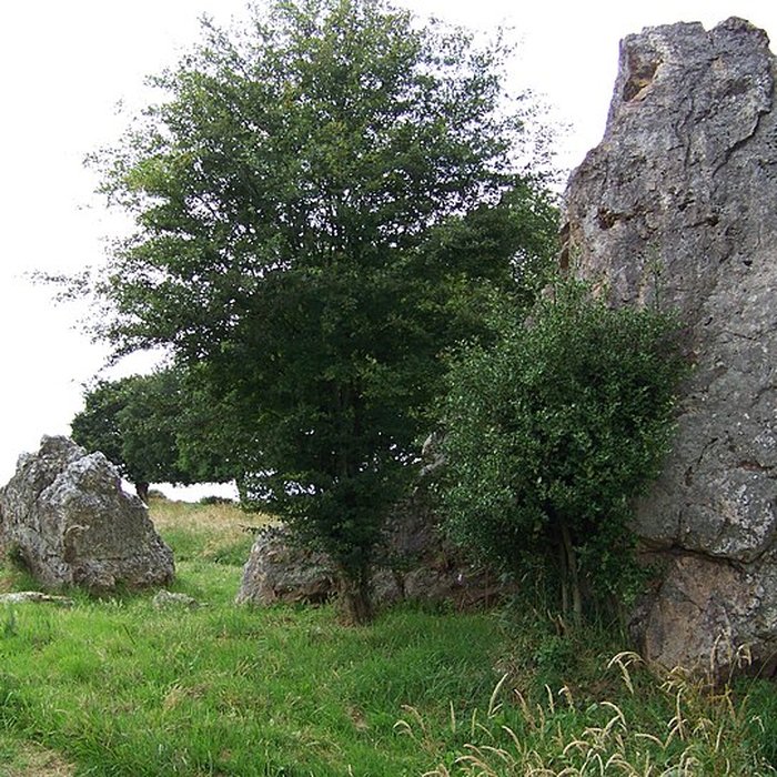 Photo de Quatre alignements mégalithiques de Médréac