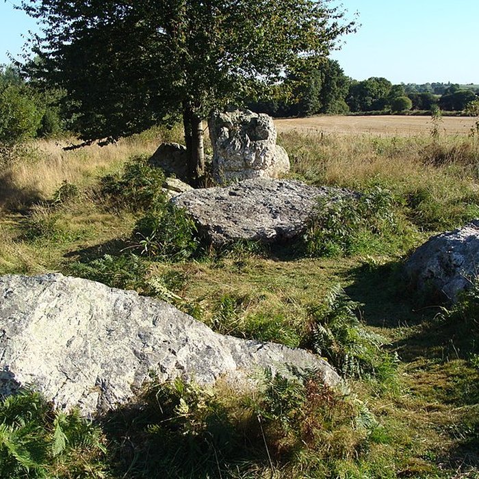 Photo de Quatre alignements mégalithiques de Médréac
