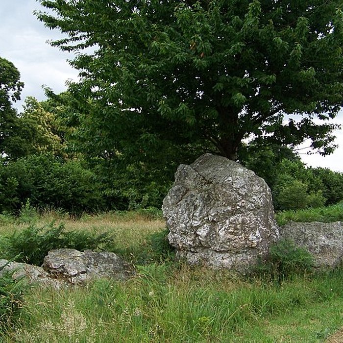 Photo de Quatre alignements mégalithiques de Médréac