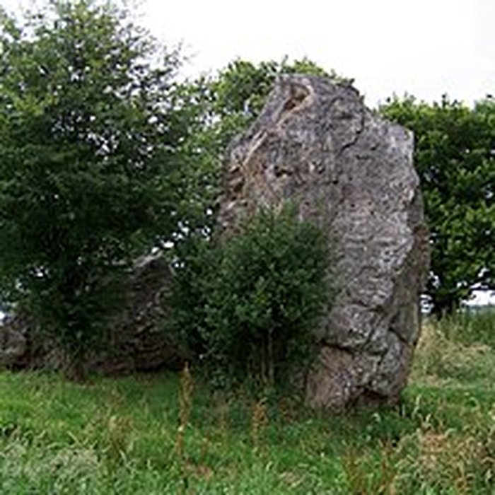 Photo de Quatre alignements mégalithiques de Médréac