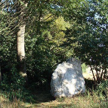quatre alignements megalithiques de medreac