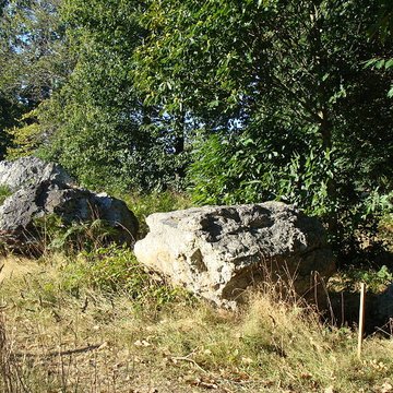Quatre alignements mégalithiques de Médréac