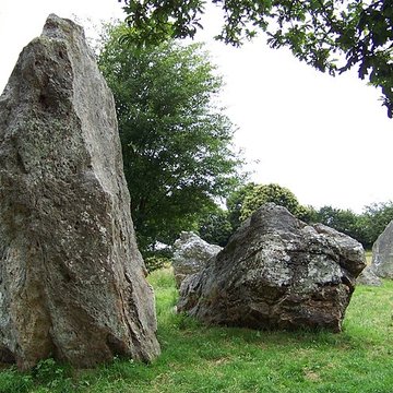 Quatre alignements mégalithiques de Médréac
