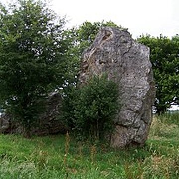 Quatre alignements mégalithiques de Médréac