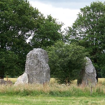 Quatre alignements mégalithiques de Médréac