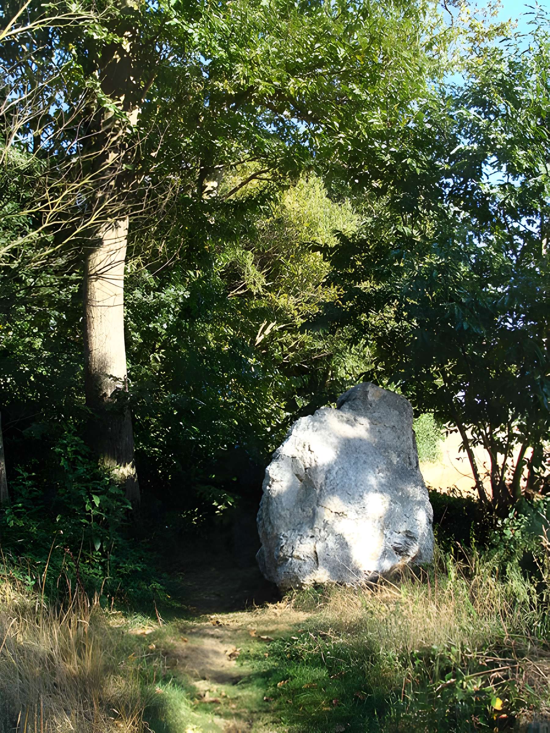 Quatre alignements mégalithiques de Médréac