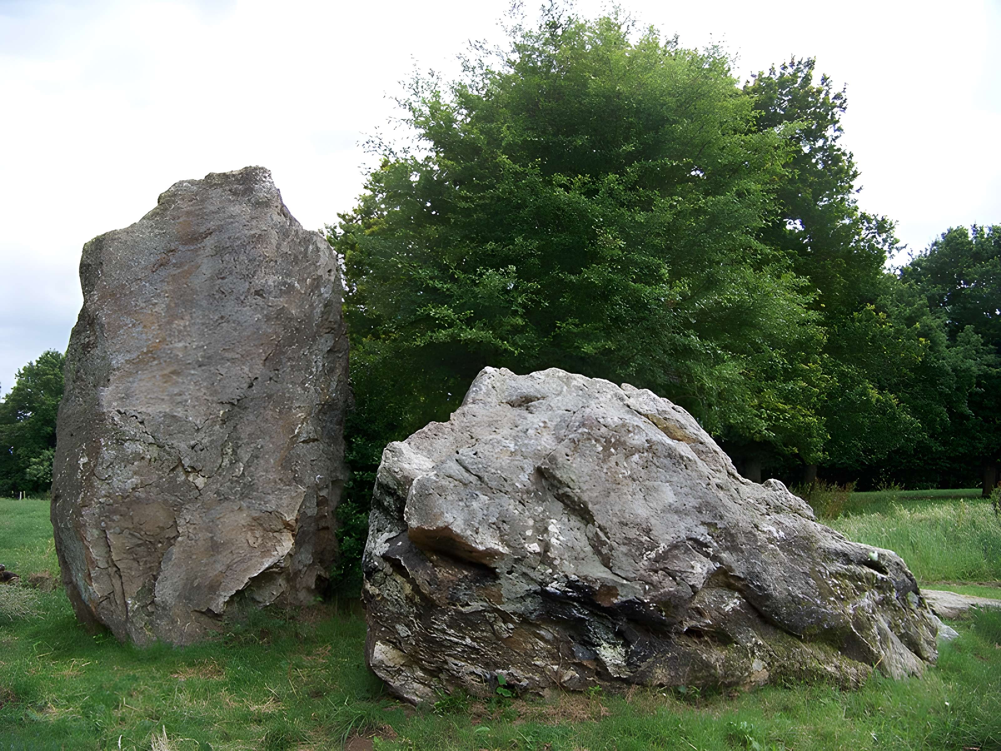 Quatre alignements mégalithiques de Médréac