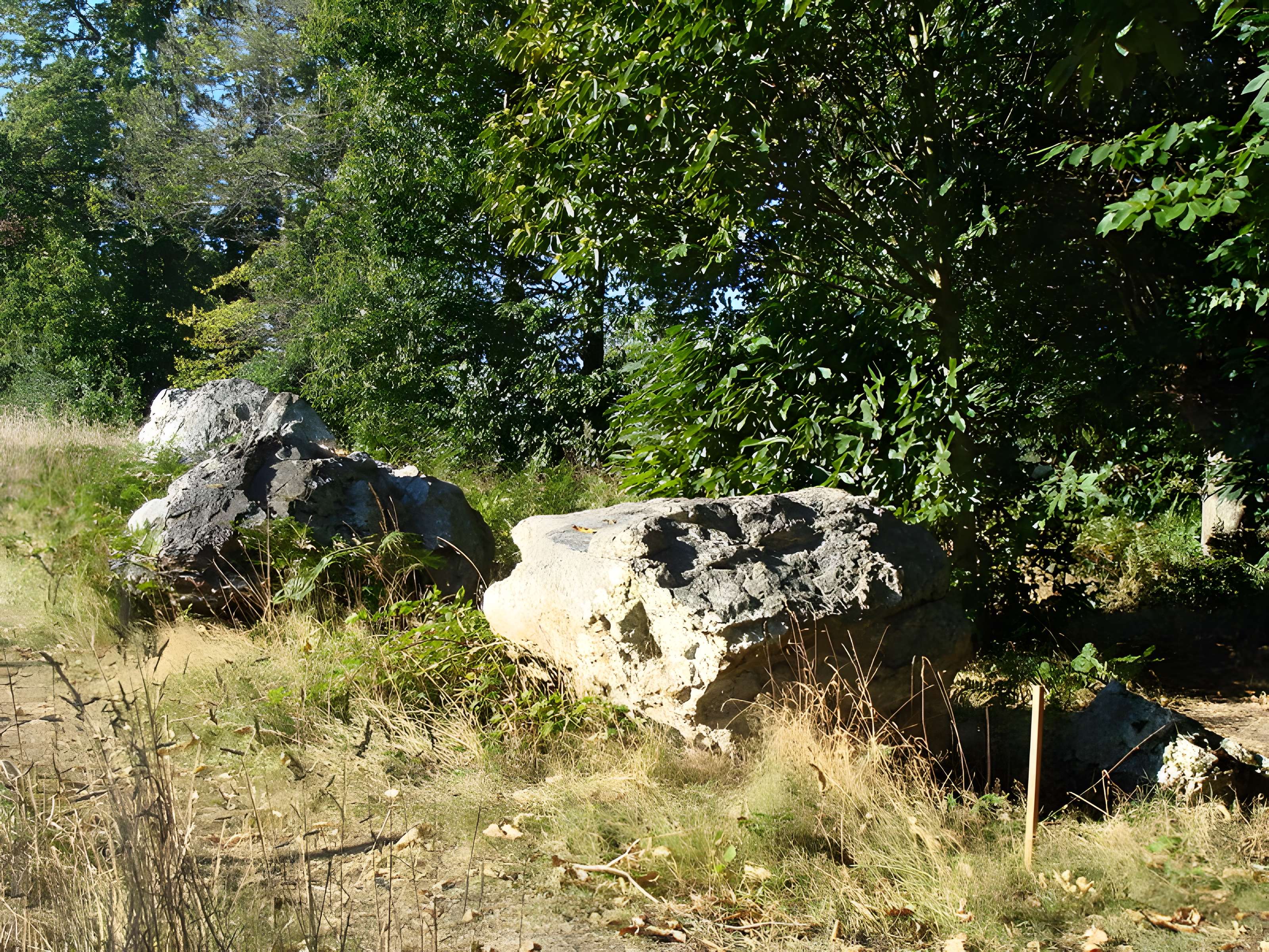 Quatre alignements mégalithiques de Médréac