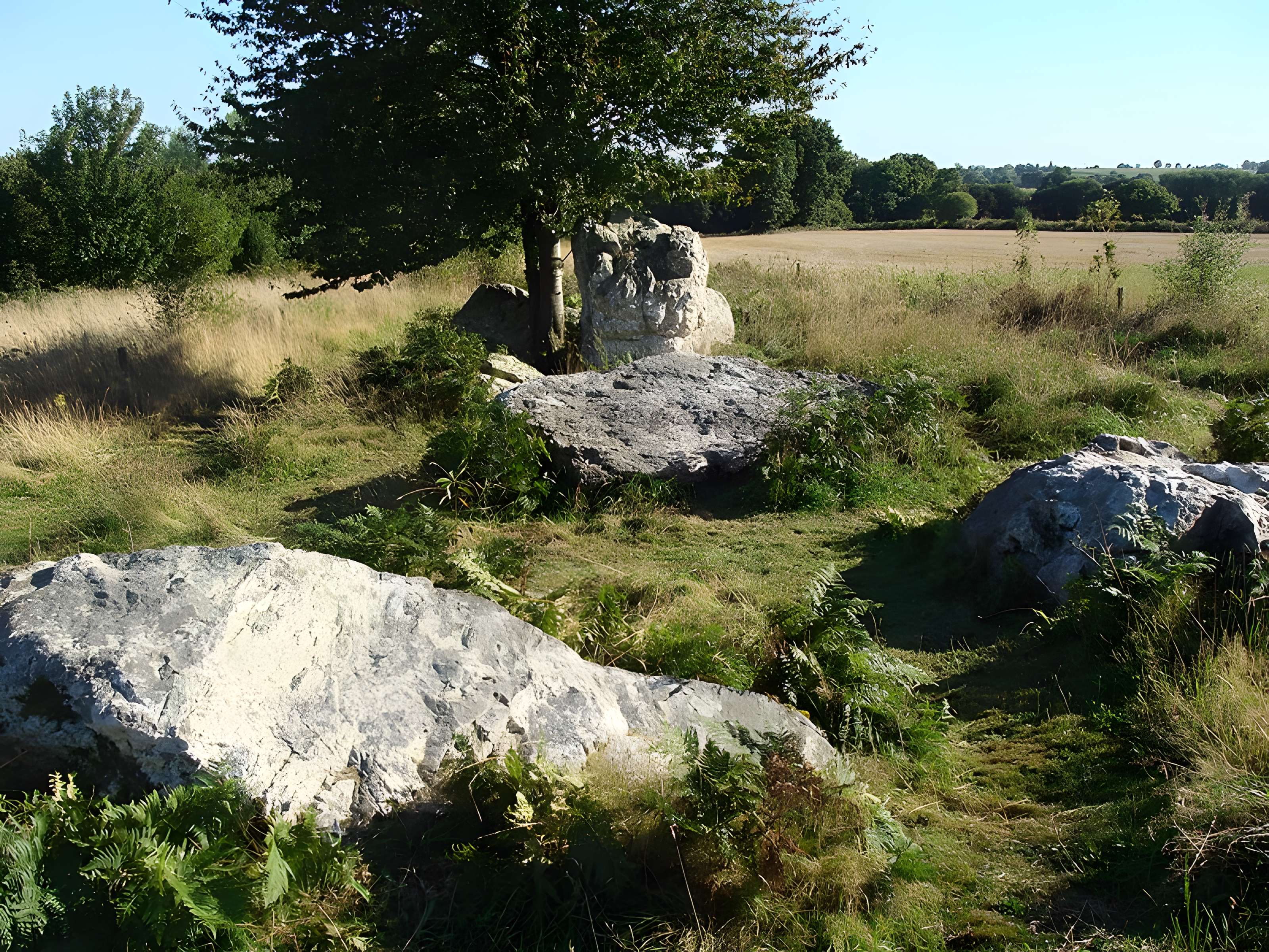 Quatre alignements mégalithiques de Médréac