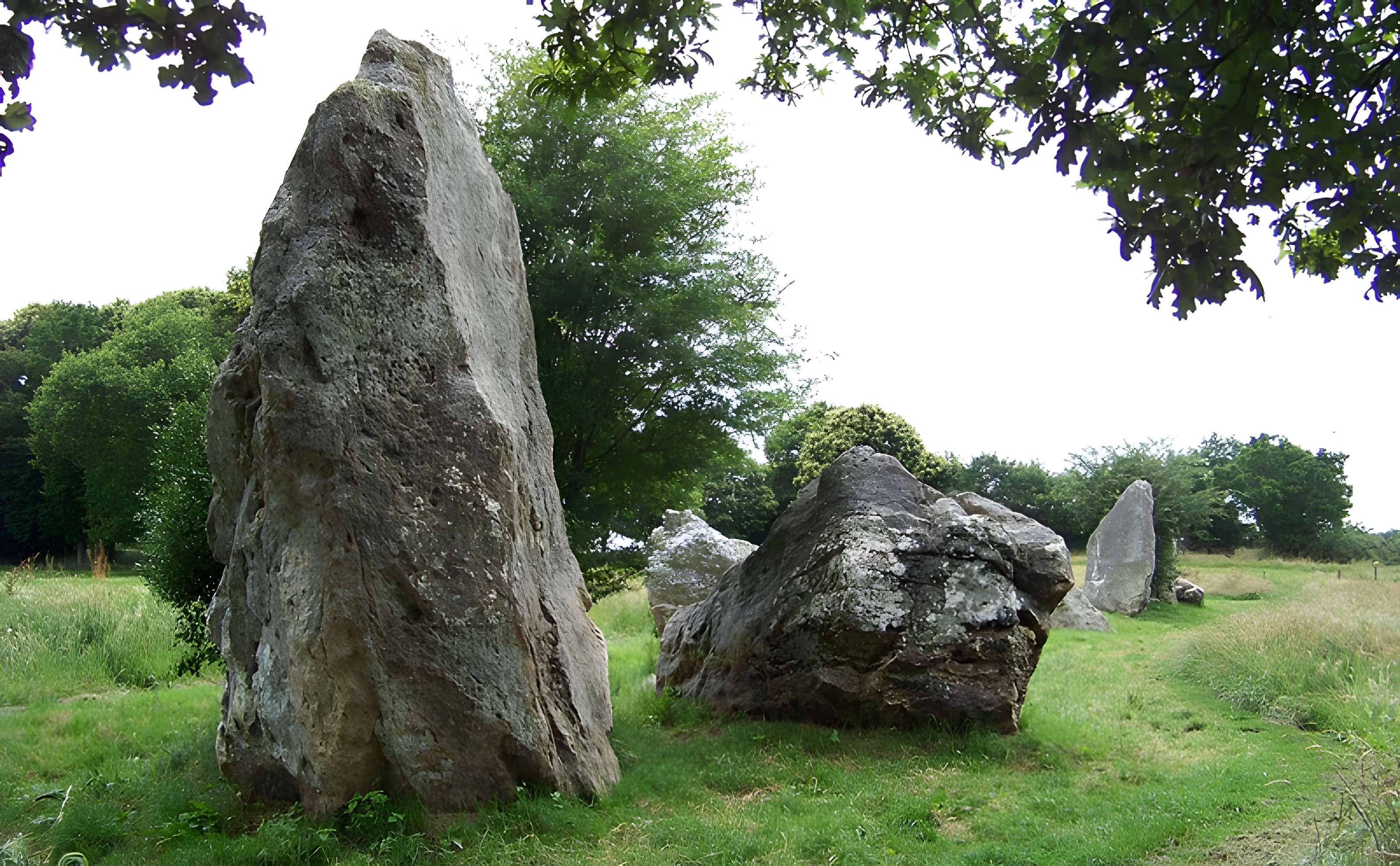 Quatre alignements mégalithiques de Médréac