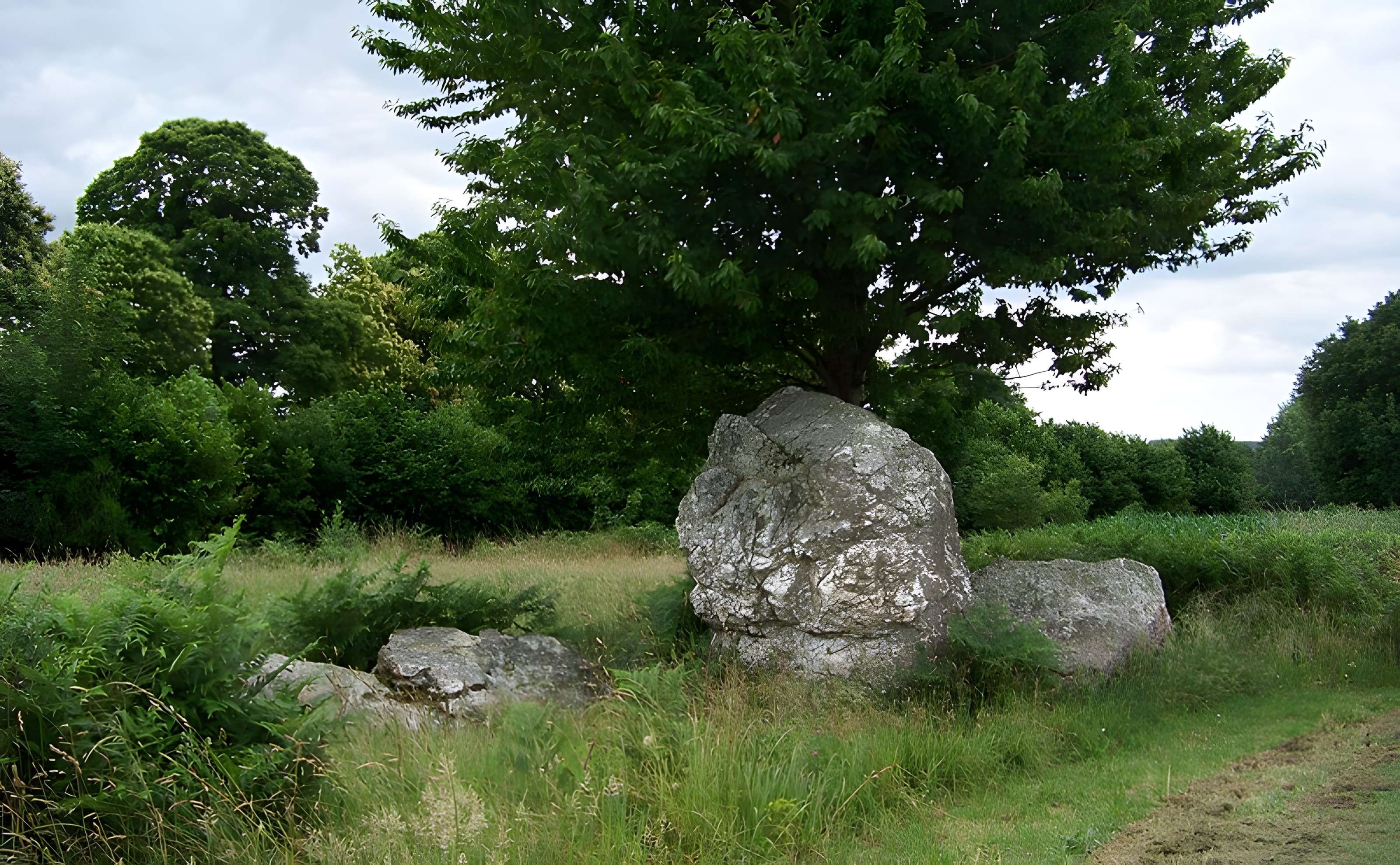 Quatre alignements mégalithiques de Médréac