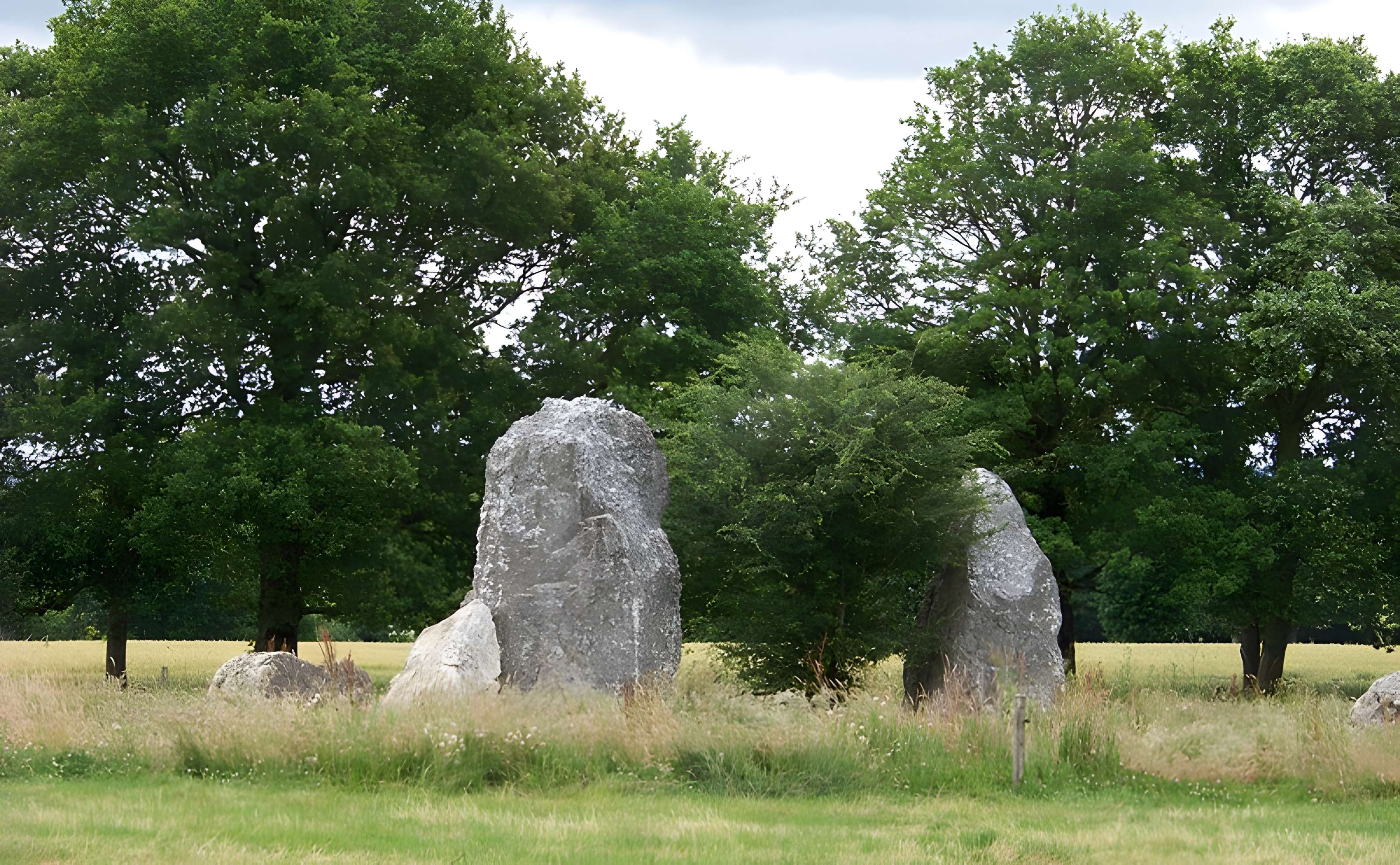 Quatre alignements mégalithiques de Médréac