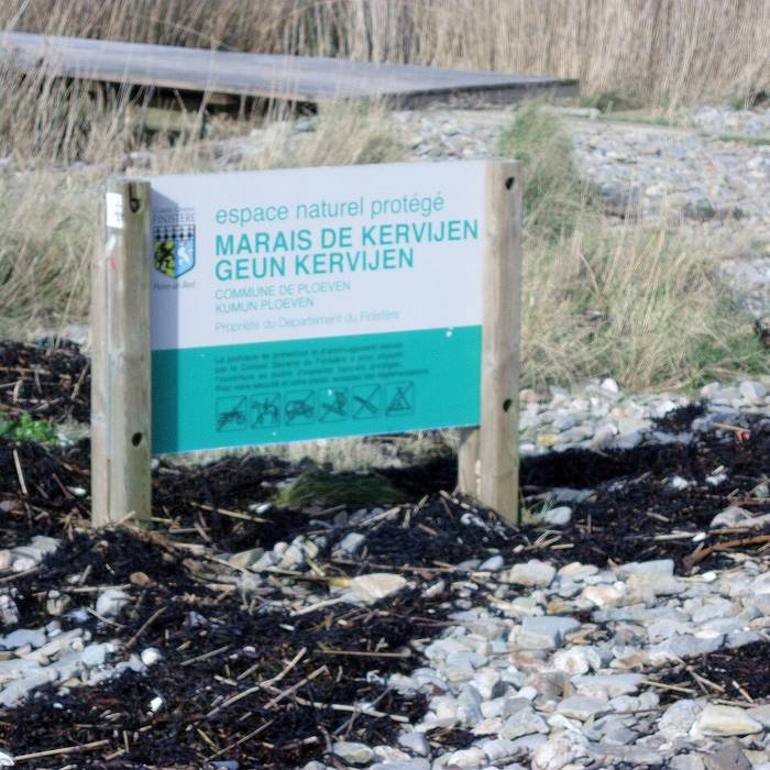 Photo de Quenouille de Sainte-Barbe de Ploéven