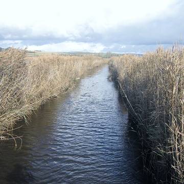 Quenouille de Sainte-Barbe de Ploéven