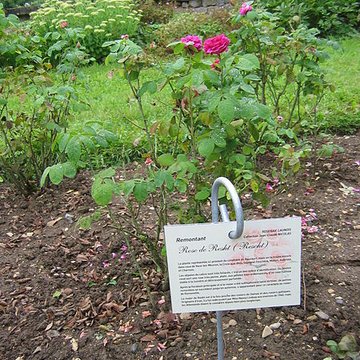 Relais de poste à chevaux à Launois-sur-Vence