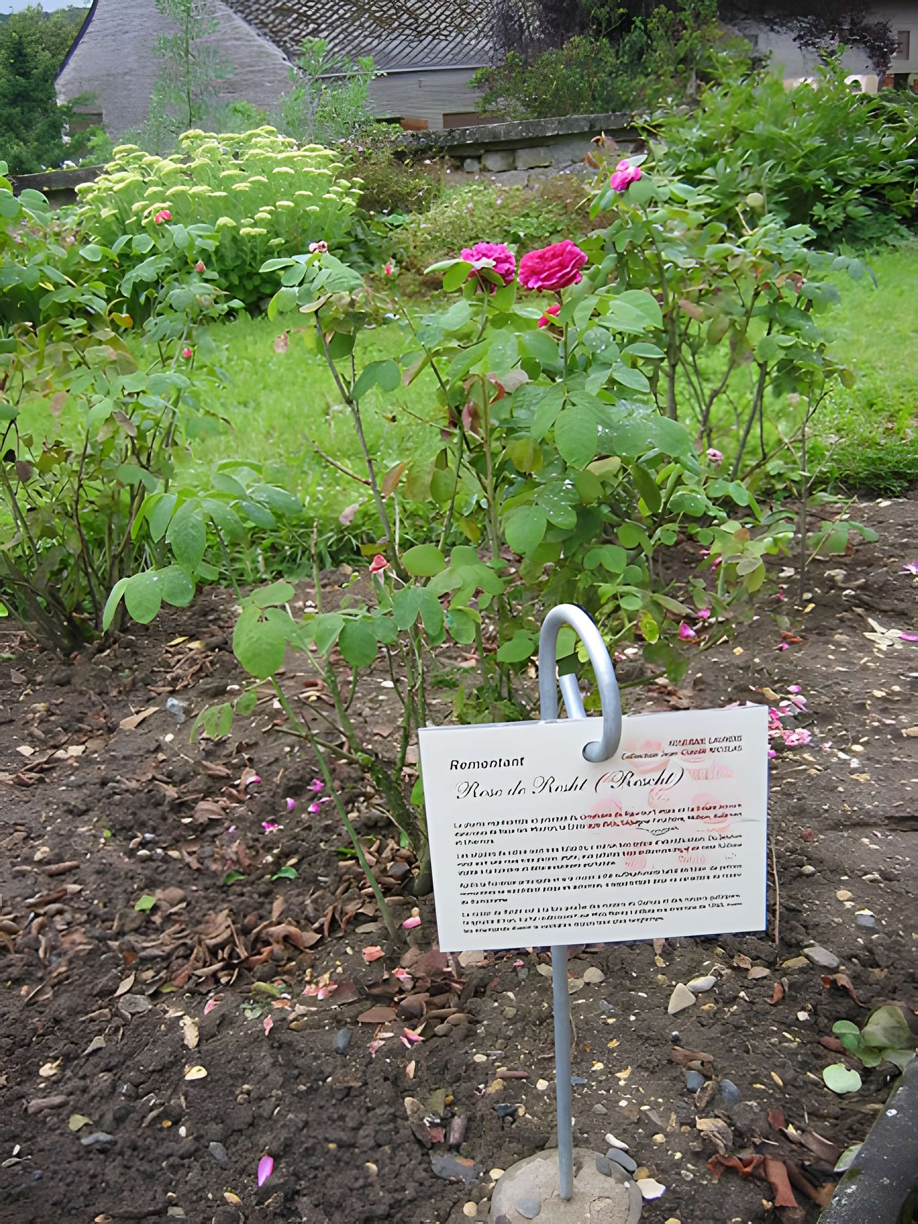 Relais de poste à chevaux à Launois-sur-Vence