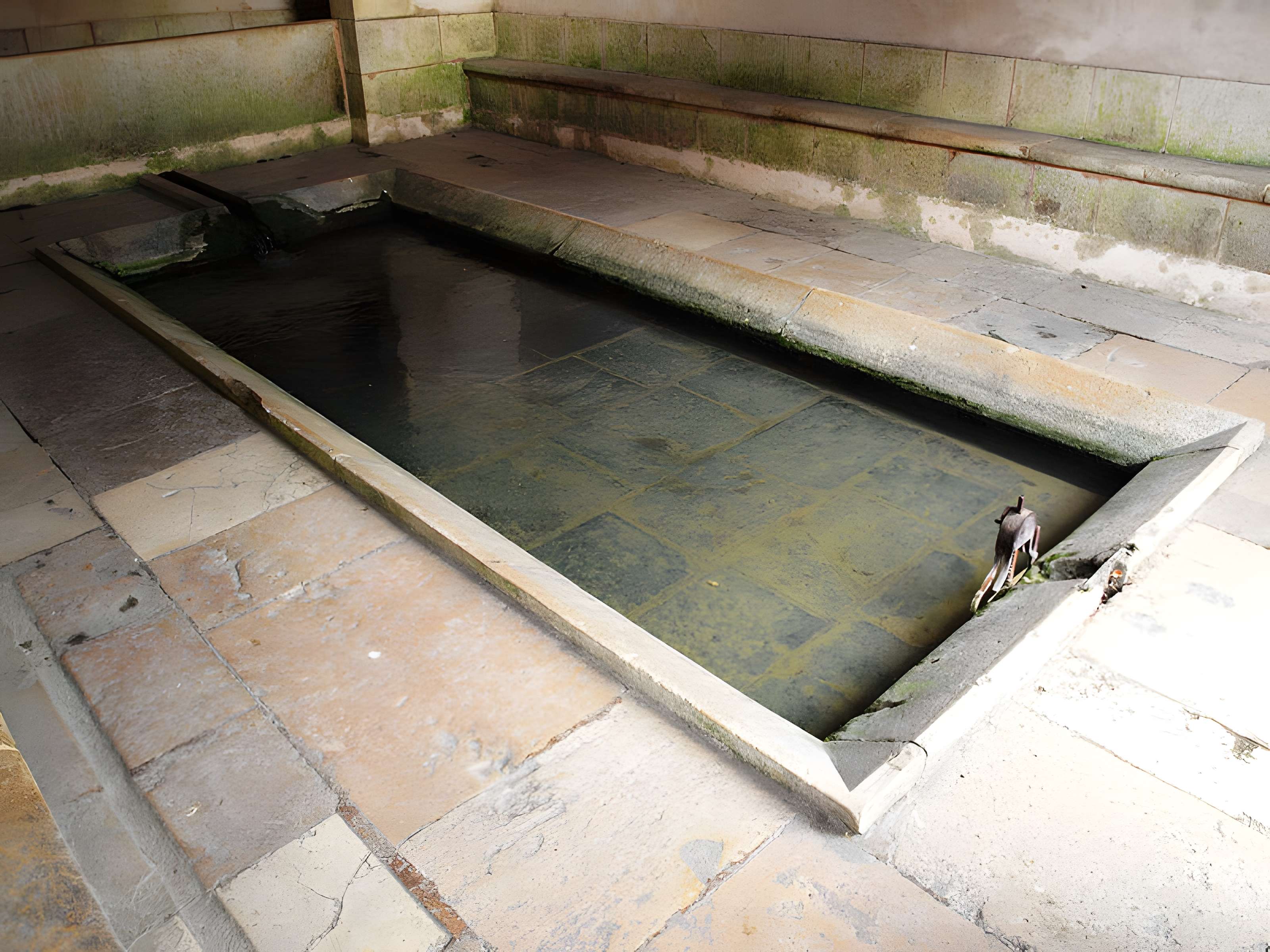 Lavoir de Druyes-les-Belles-Fontaines