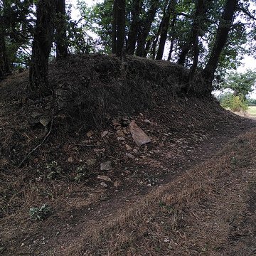 Rempart préhistorique de La Groutte