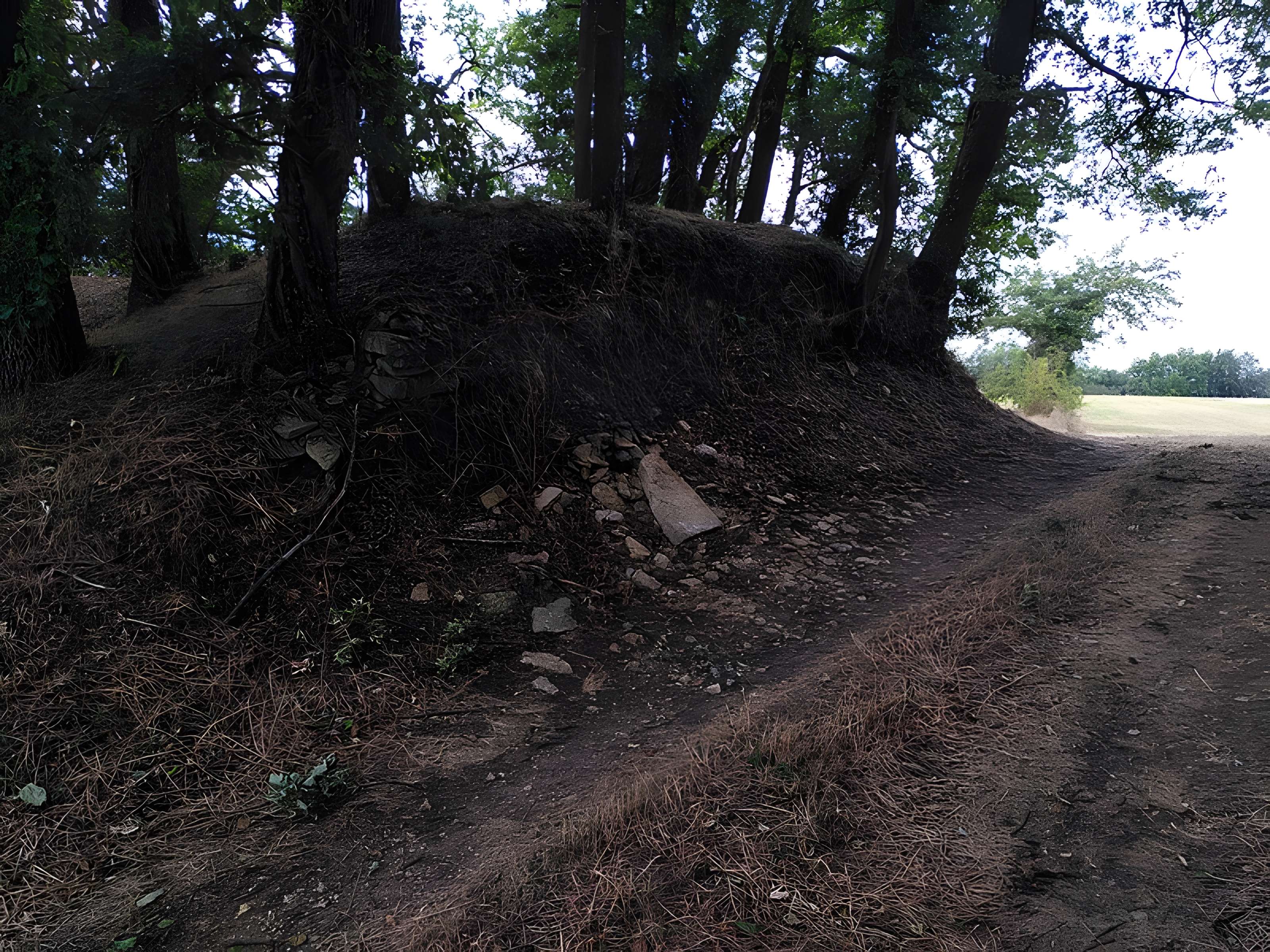 Rempart préhistorique de La Groutte